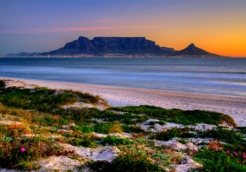 13 ways ANC wants to improve SA economy